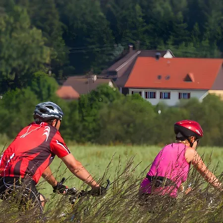 Saunaloft Schwarzwald - Privater 45qm Saunabereich - Grosszuegige Raeume Mit Viel Ruhe * 아이할덴